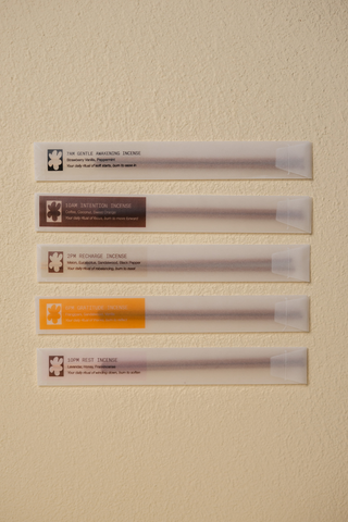 Scent Discovery Set